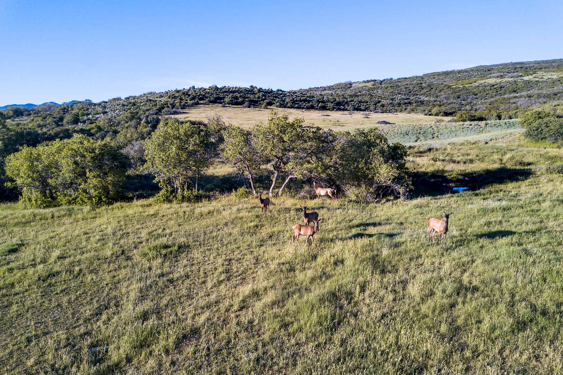 Stealey Mountain Ranch property picture 18 of 76