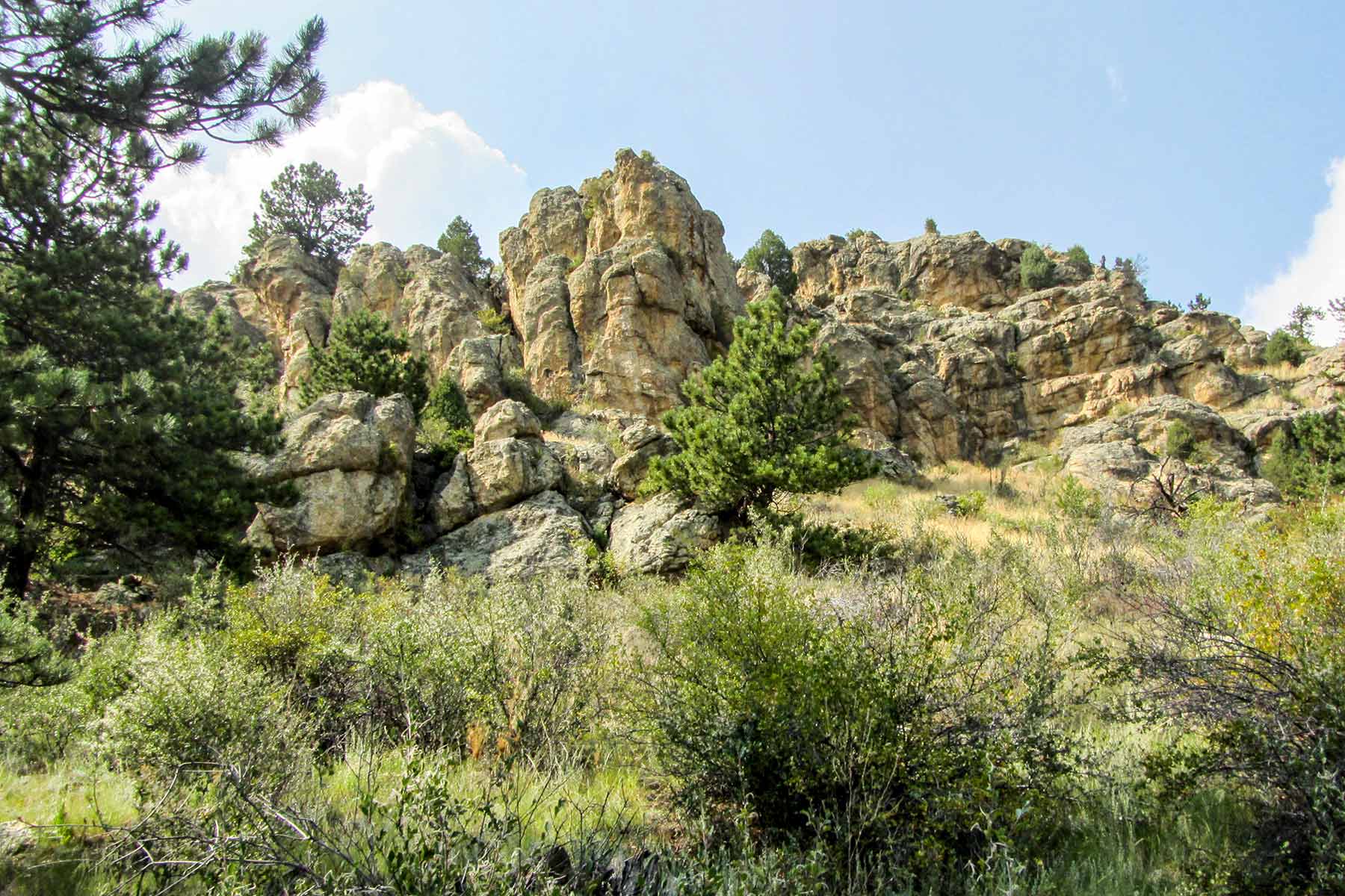 RSM Ranch property picture 5 of 33