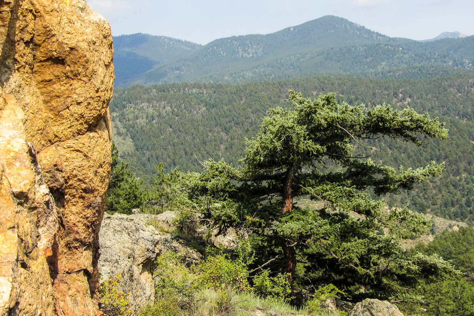 RSM Ranch property picture 6 of 33