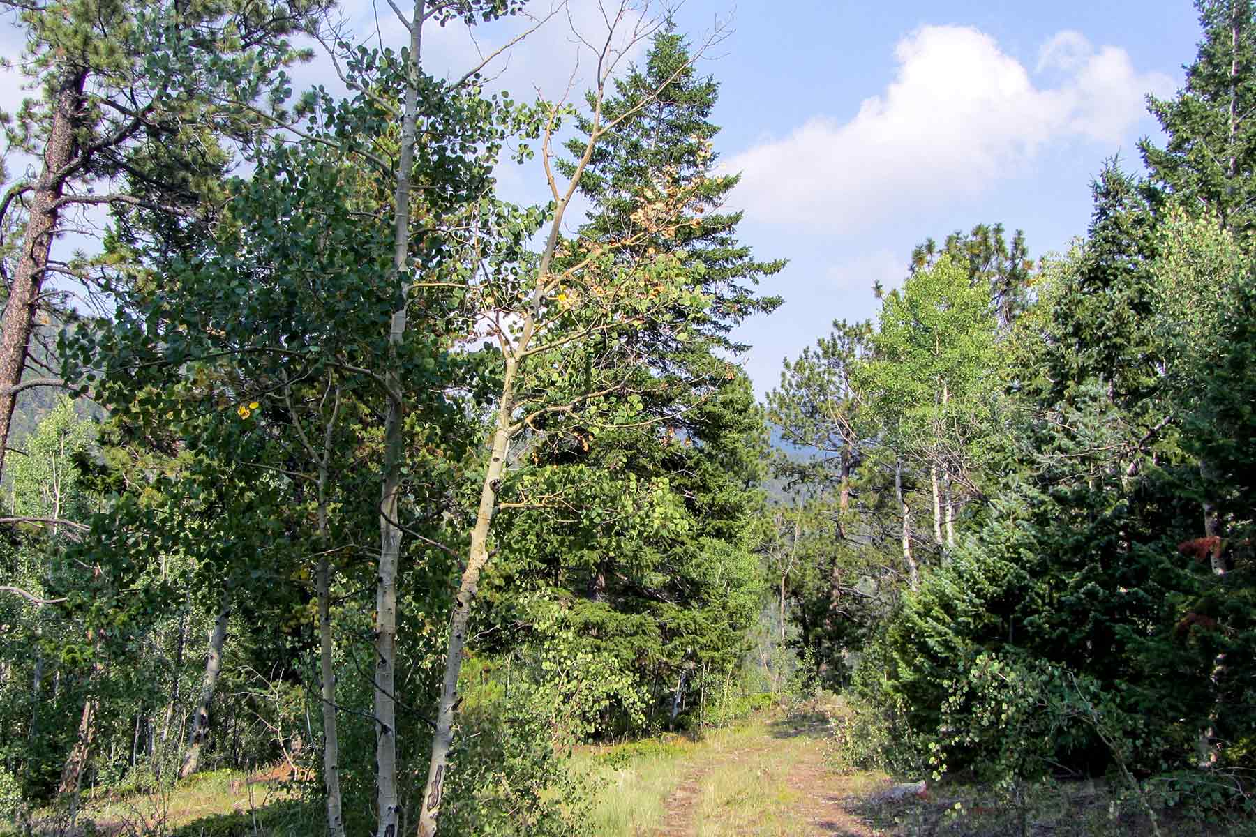 RSM Ranch property picture 32 of 33