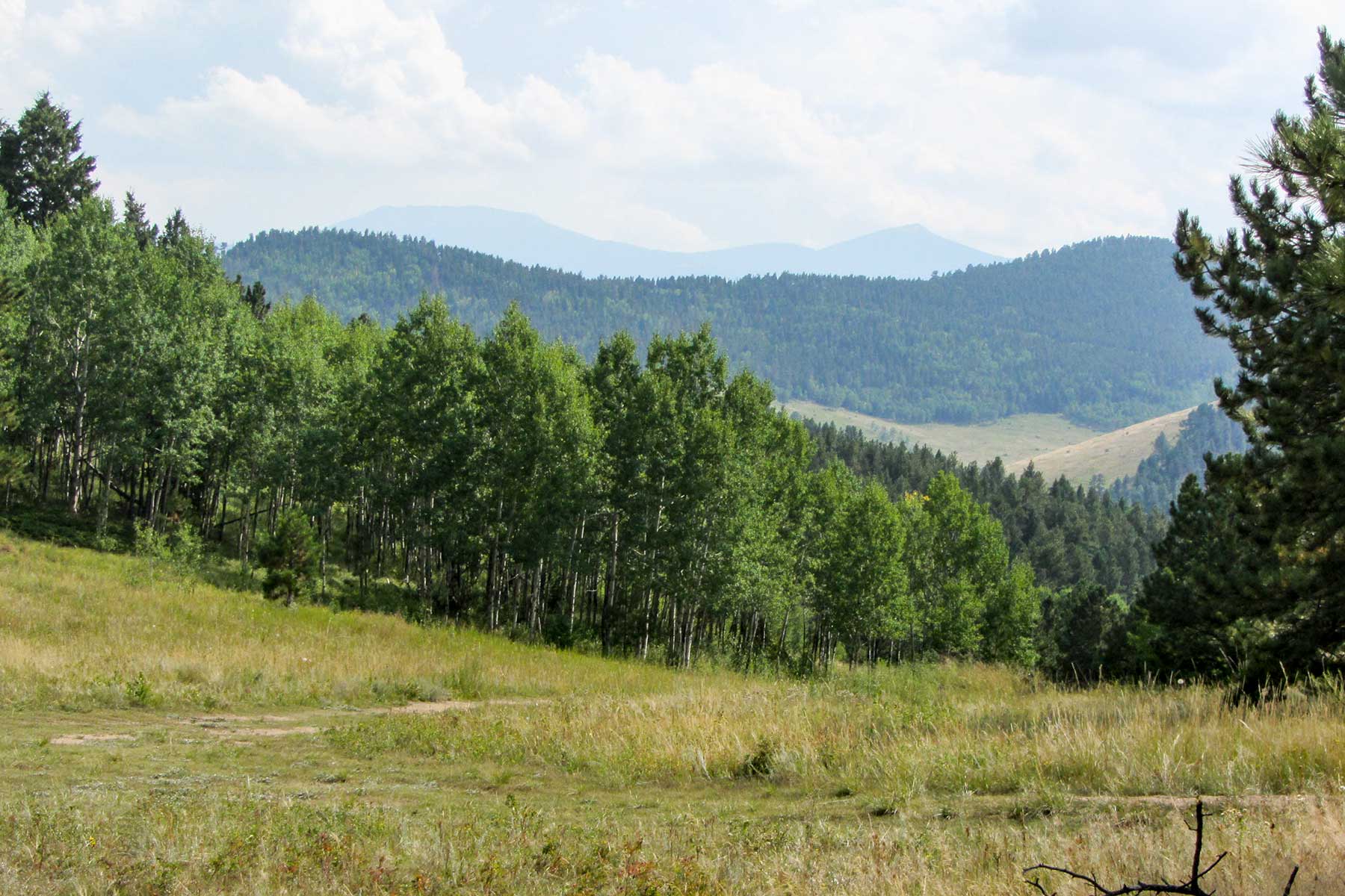 RSM Ranch property picture 7 of 33