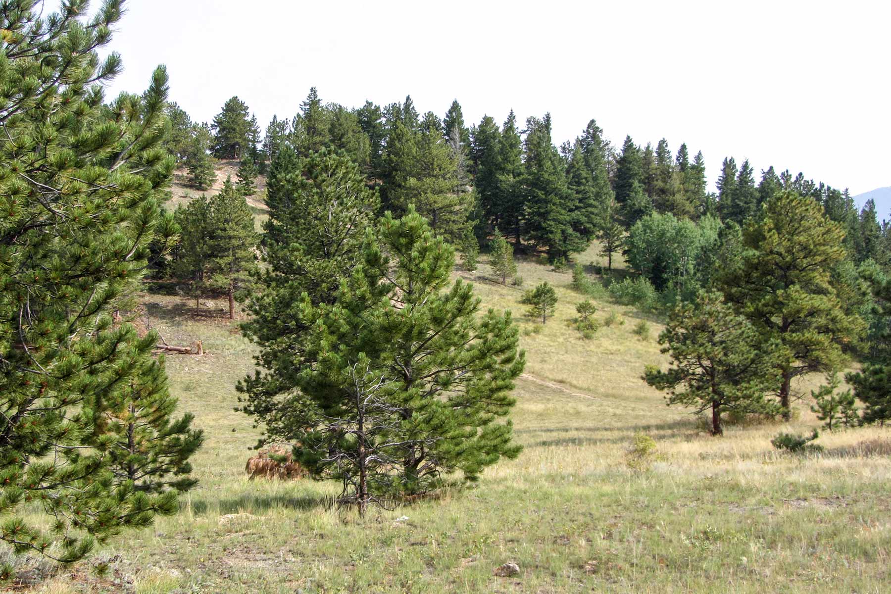 RSM Ranch property picture 31 of 33