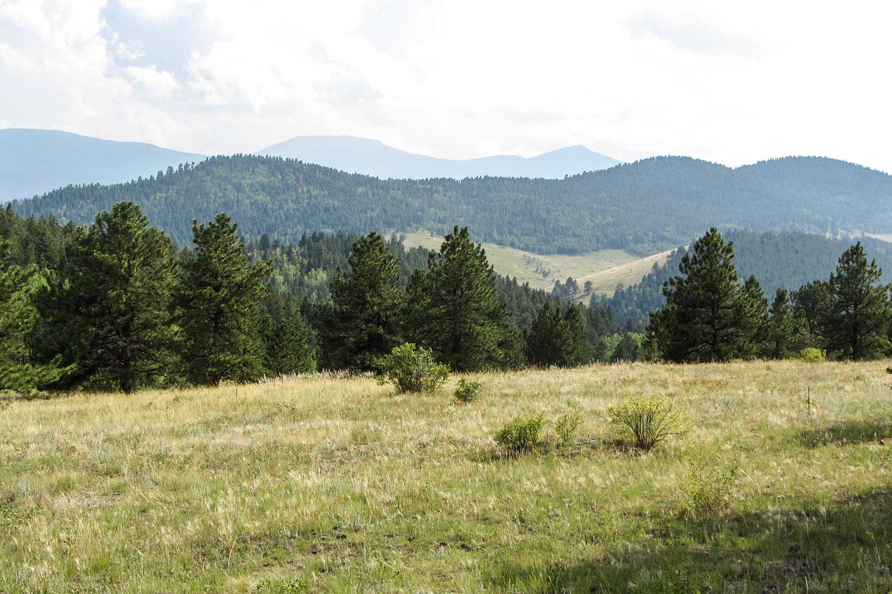 RSM Ranch property picture 8 of 33