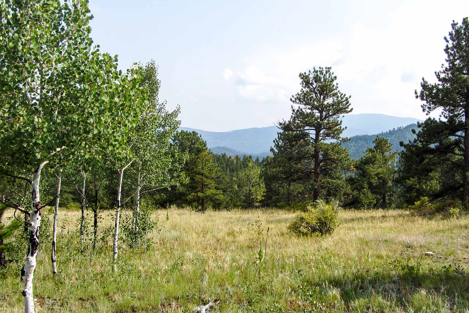 RSM Ranch property picture 9 of 33