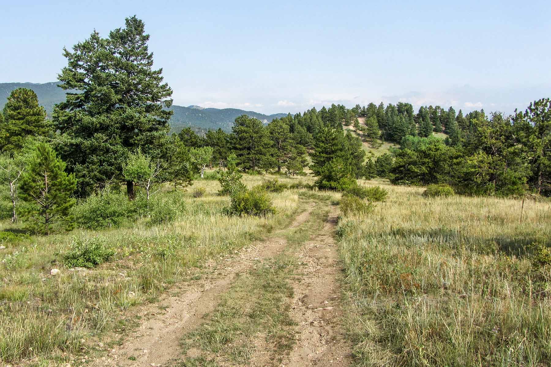 RSM Ranch property picture 10 of 33