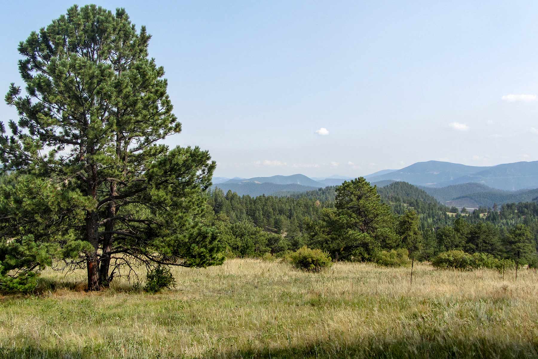 RSM Ranch property picture 11 of 33