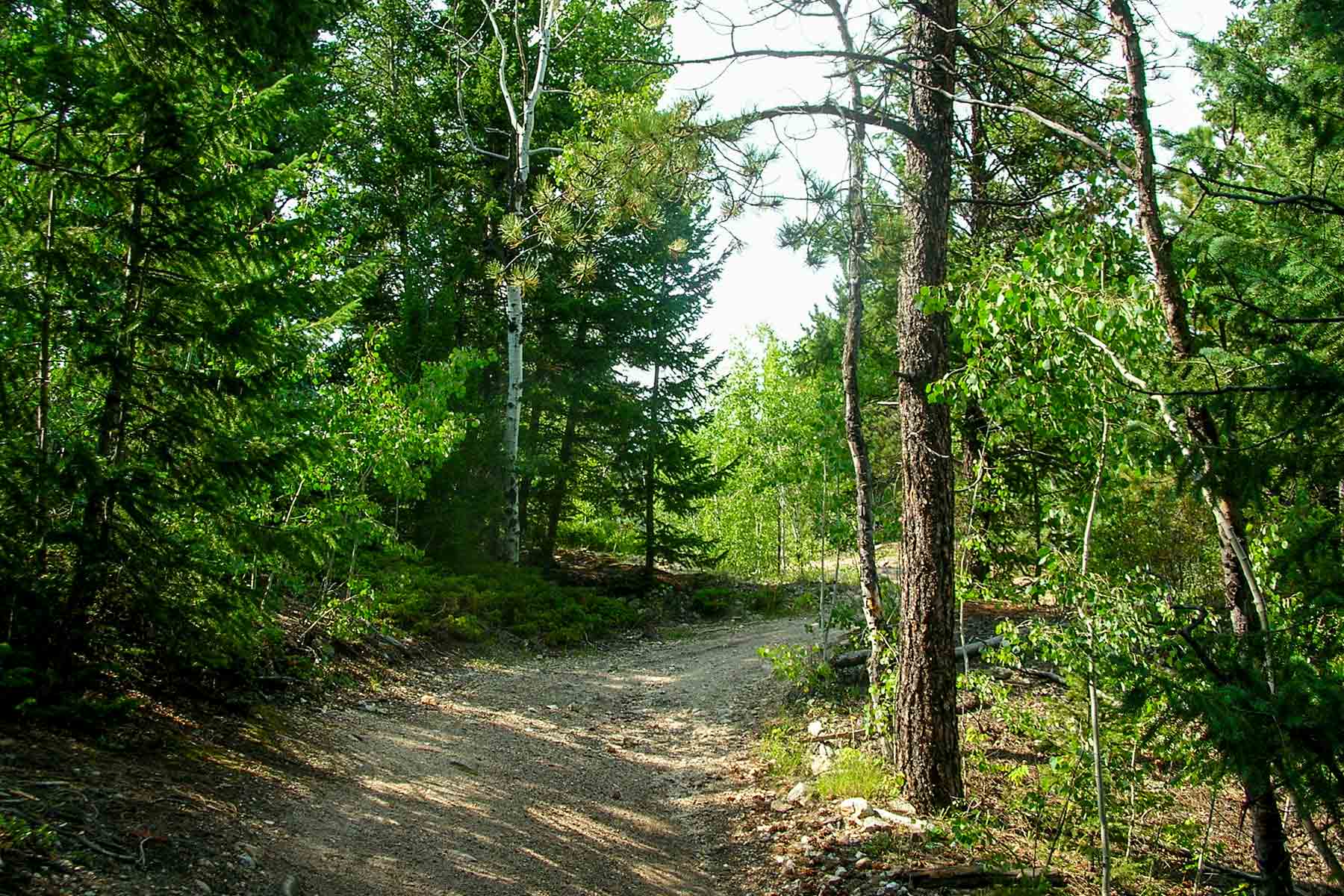 RSM Ranch property picture 14 of 33