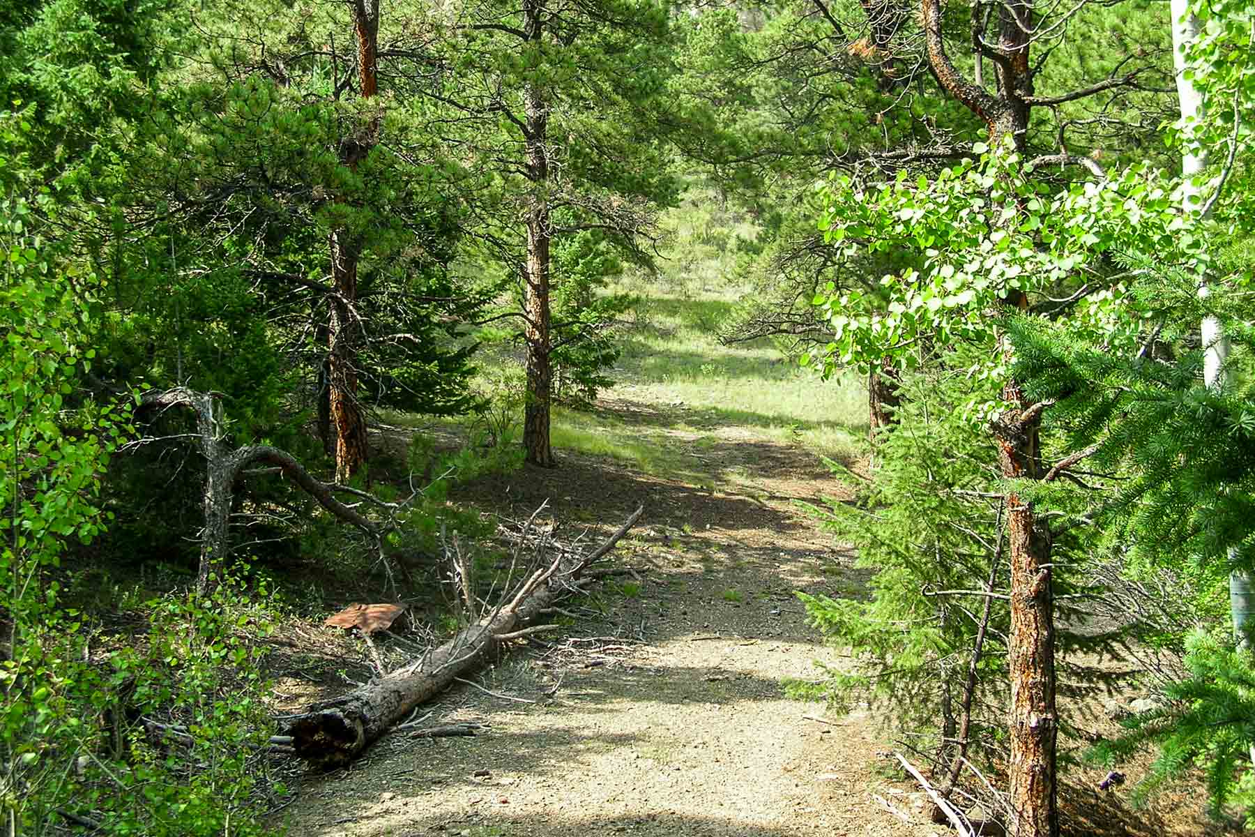 RSM Ranch property picture 15 of 33