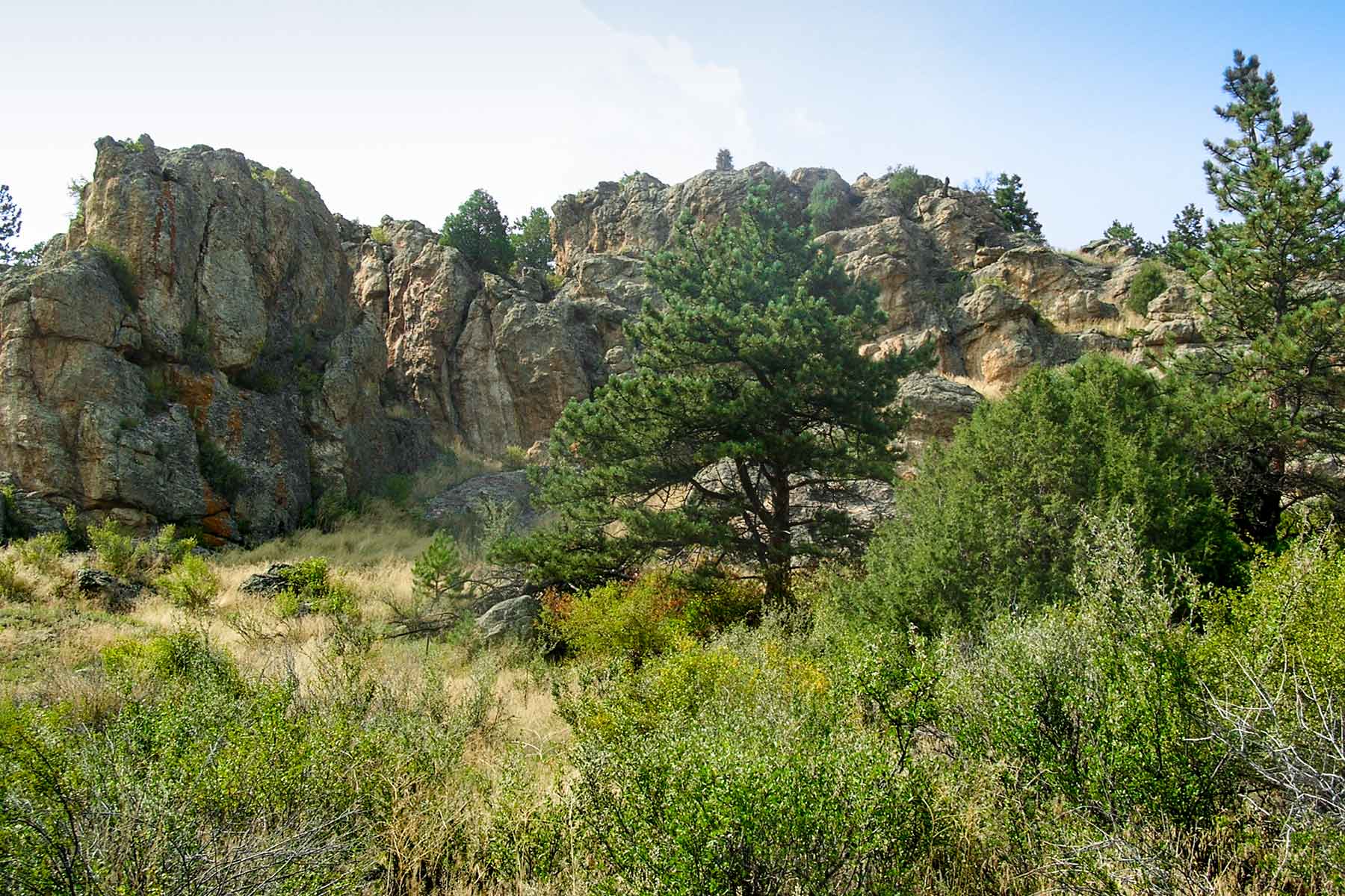 RSM Ranch property picture 3 of 33