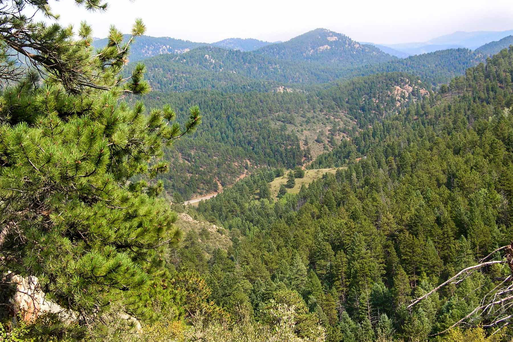 RSM Ranch property picture 2 of 33