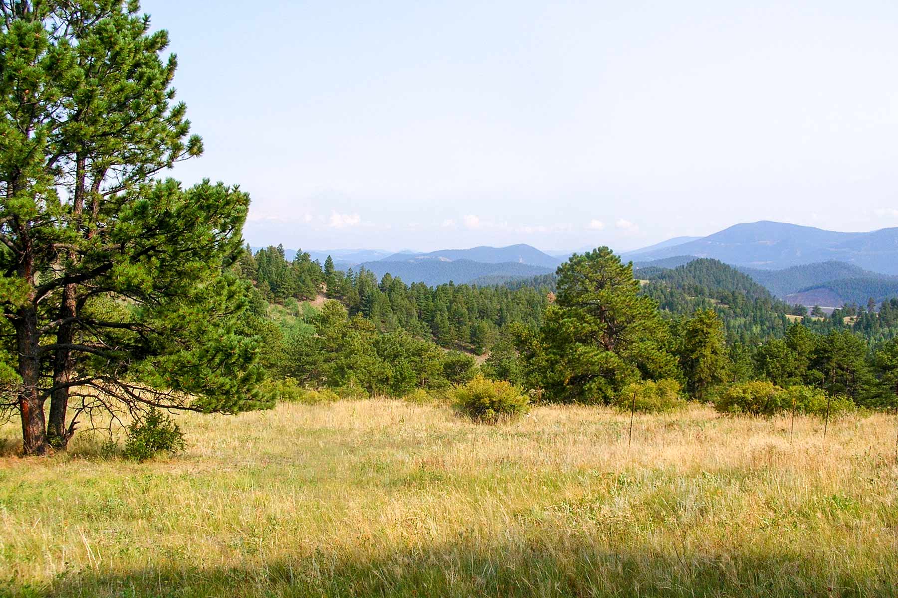 RSM Ranch property picture 28 of 33