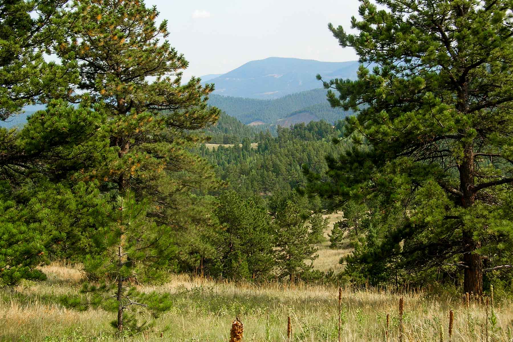 RSM Ranch property picture 16 of 33