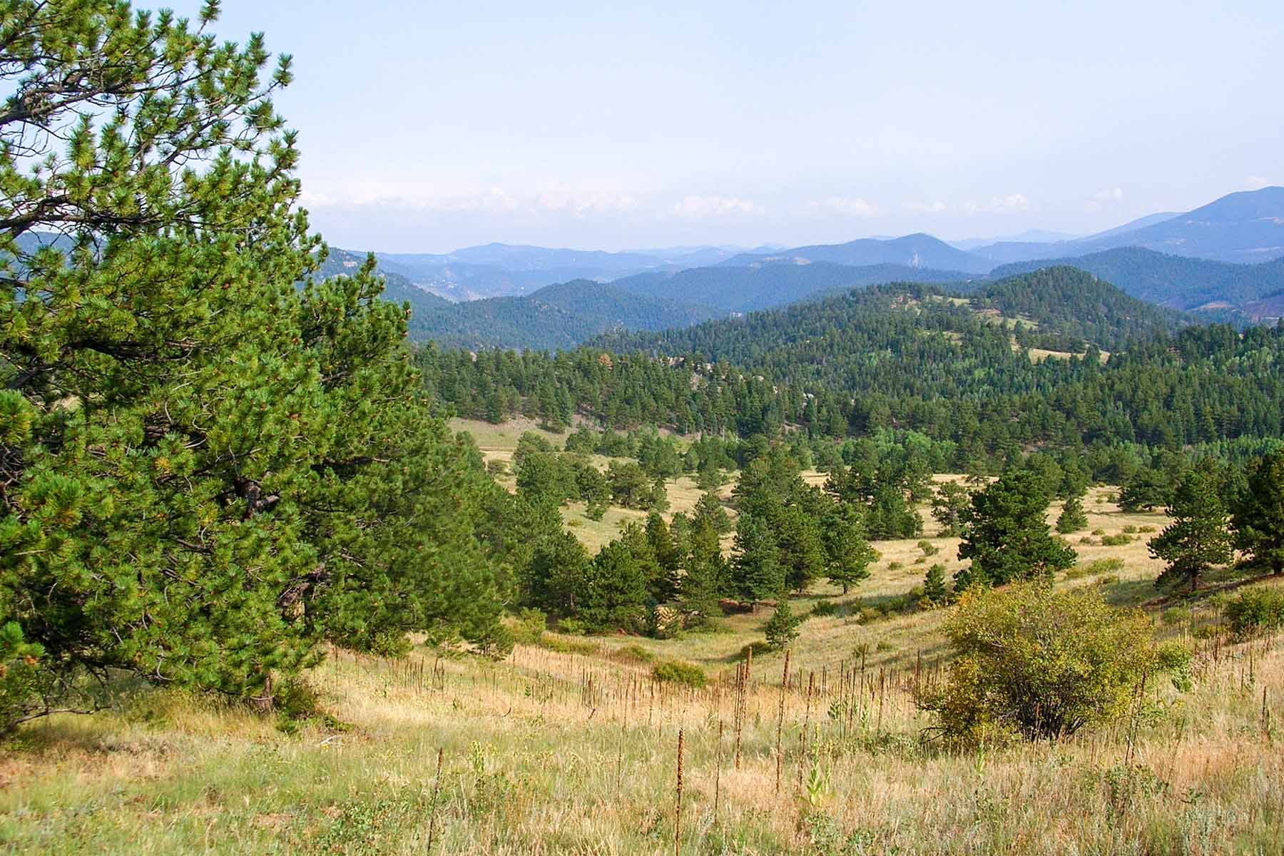 RSM Ranch property picture 26 of 33