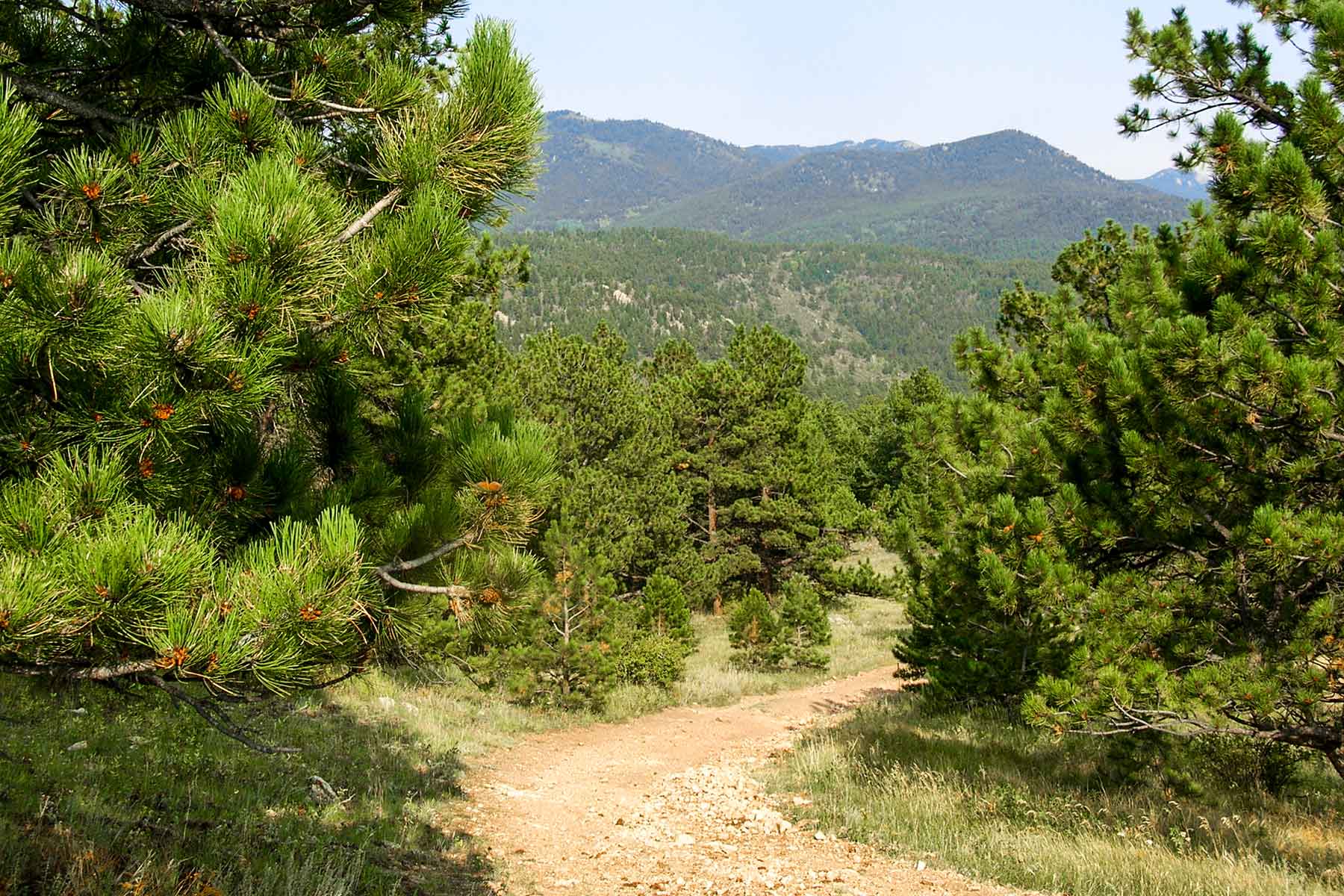 RSM Ranch property picture 17 of 33