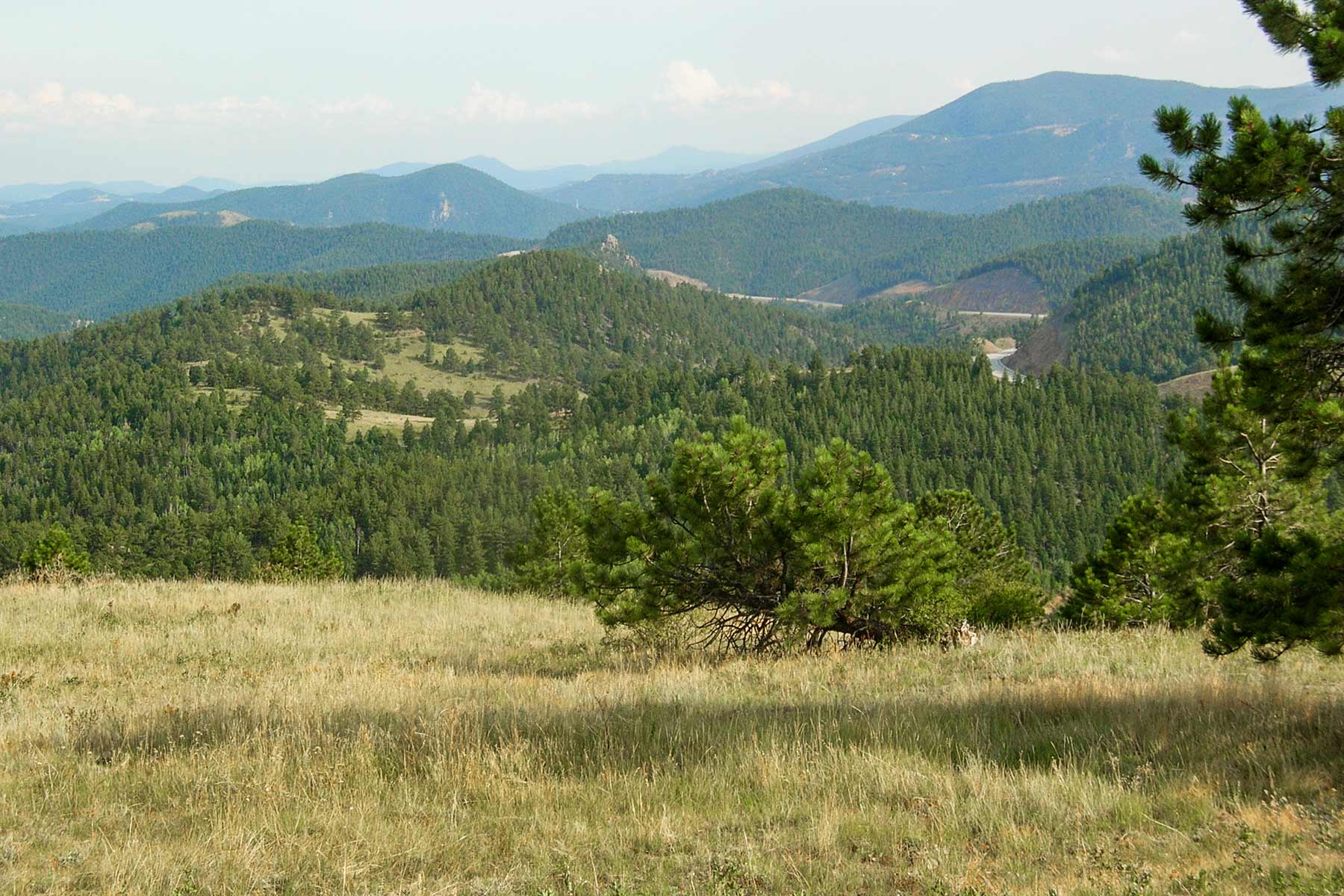 RSM Ranch property picture 18 of 33