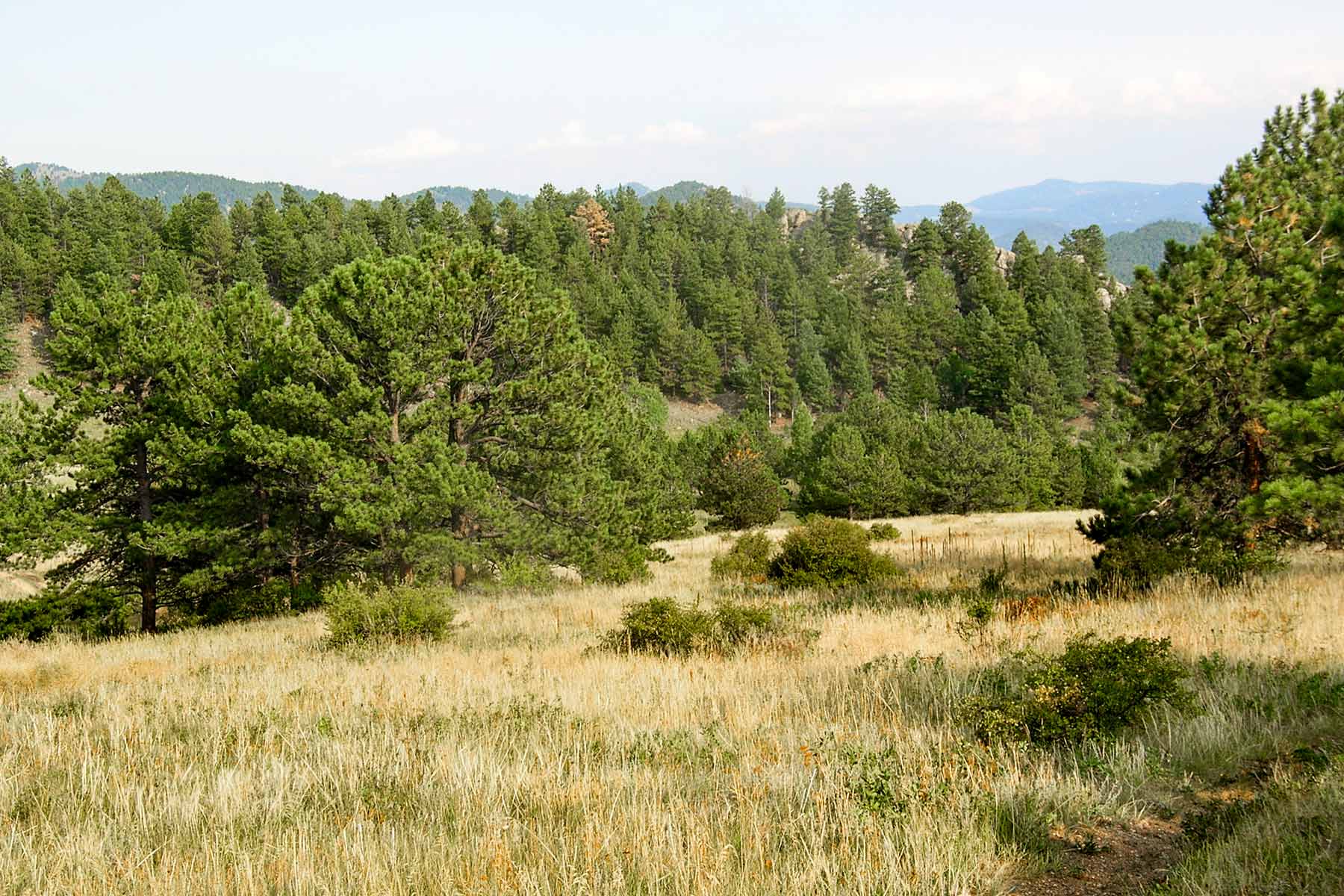 RSM Ranch property picture 19 of 33