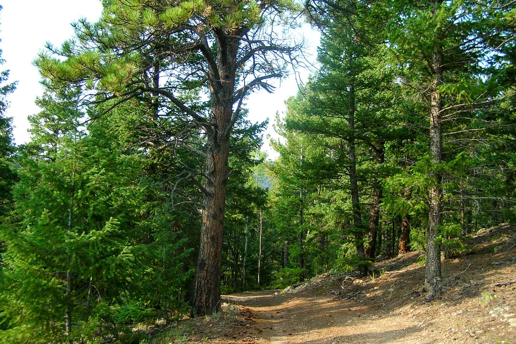 RSM Ranch property picture 20 of 33