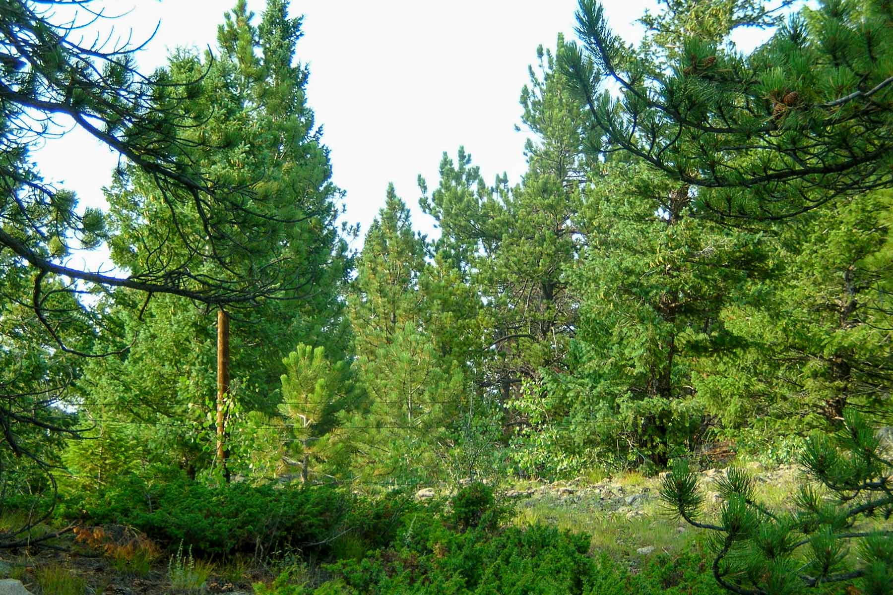 RSM Ranch property picture 25 of 33