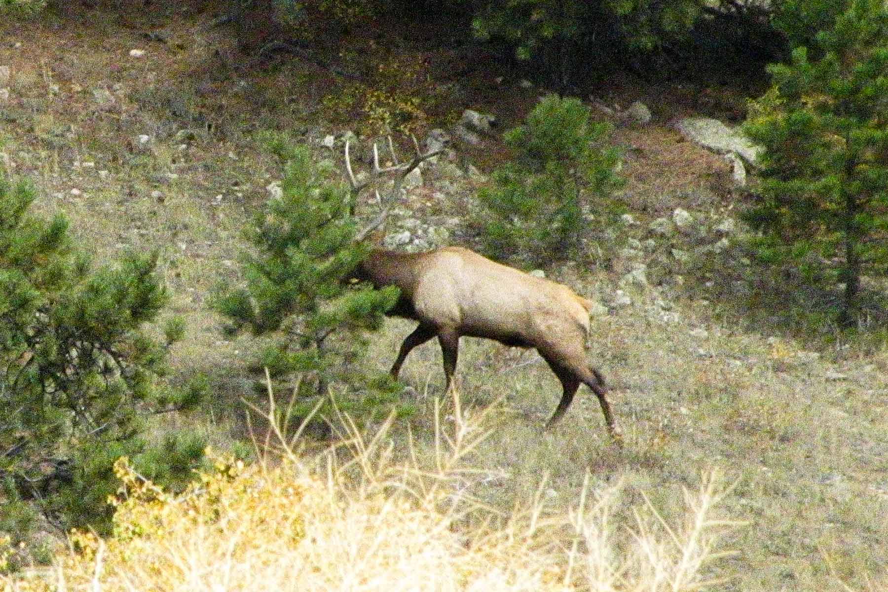 RSM Ranch property picture 4 of 33
