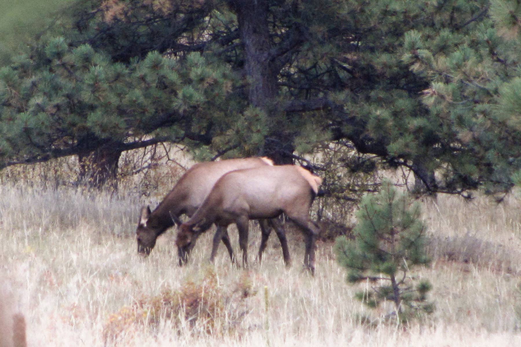 RSM Ranch property picture 13 of 33