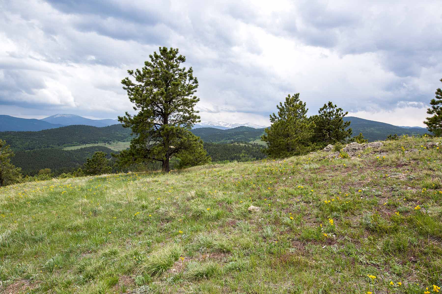 RSM Ranch property picture 23 of 33