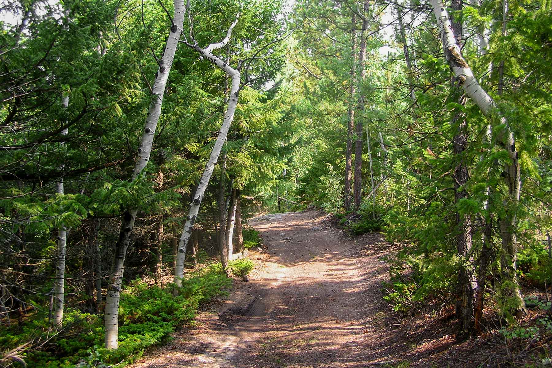 RSM Ranch property picture 29 of 33