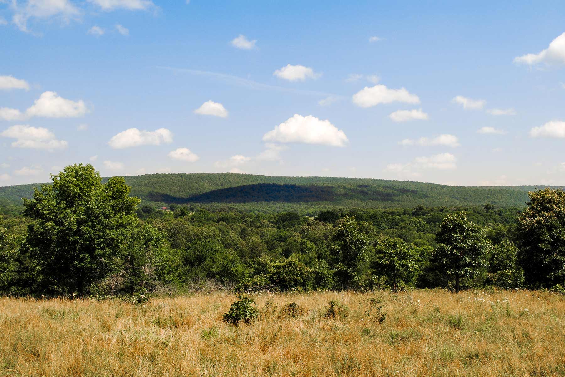 KiamichiLink Ranch property picture 21 of 89