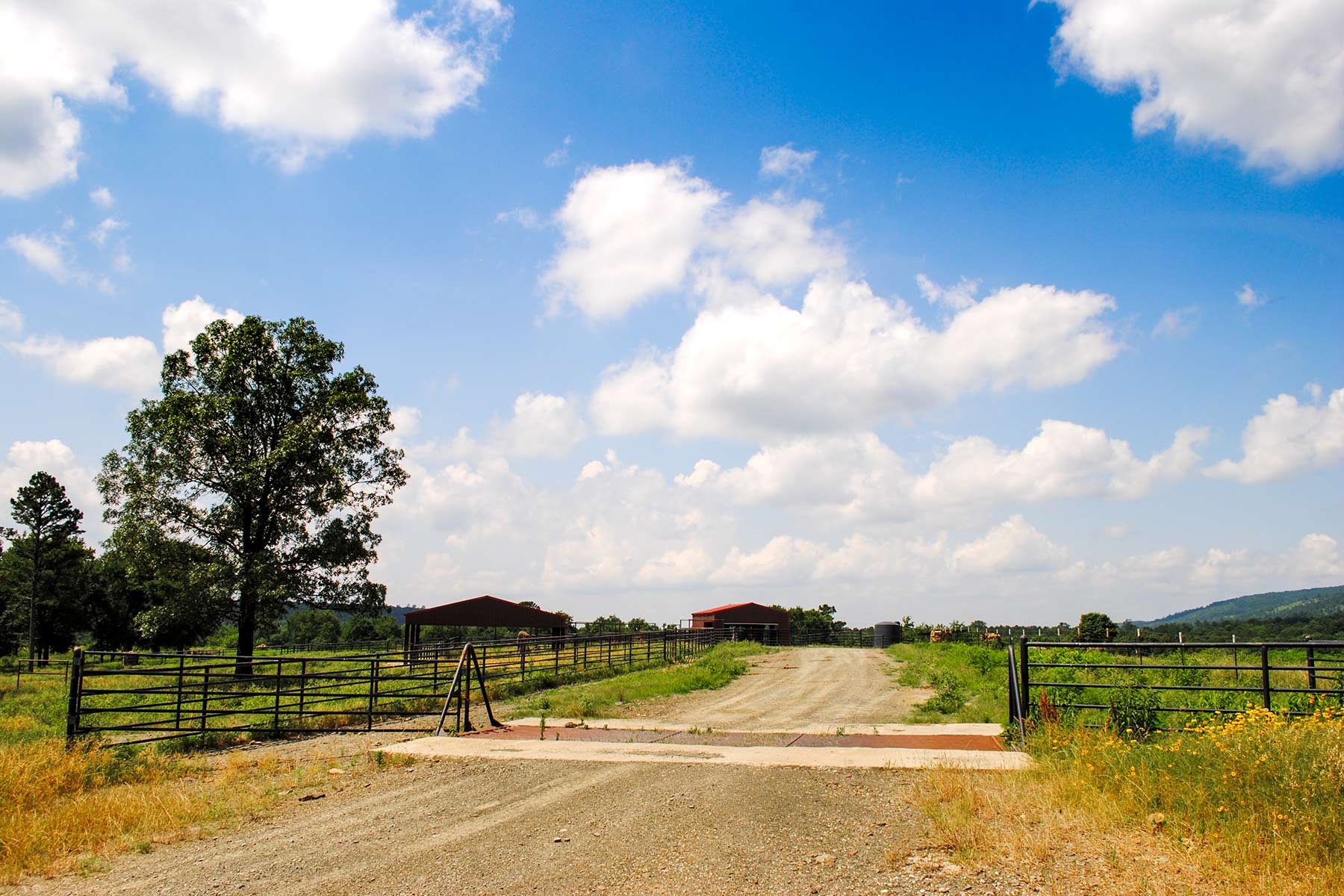 KiamichiLink Ranch property picture 77 of 89