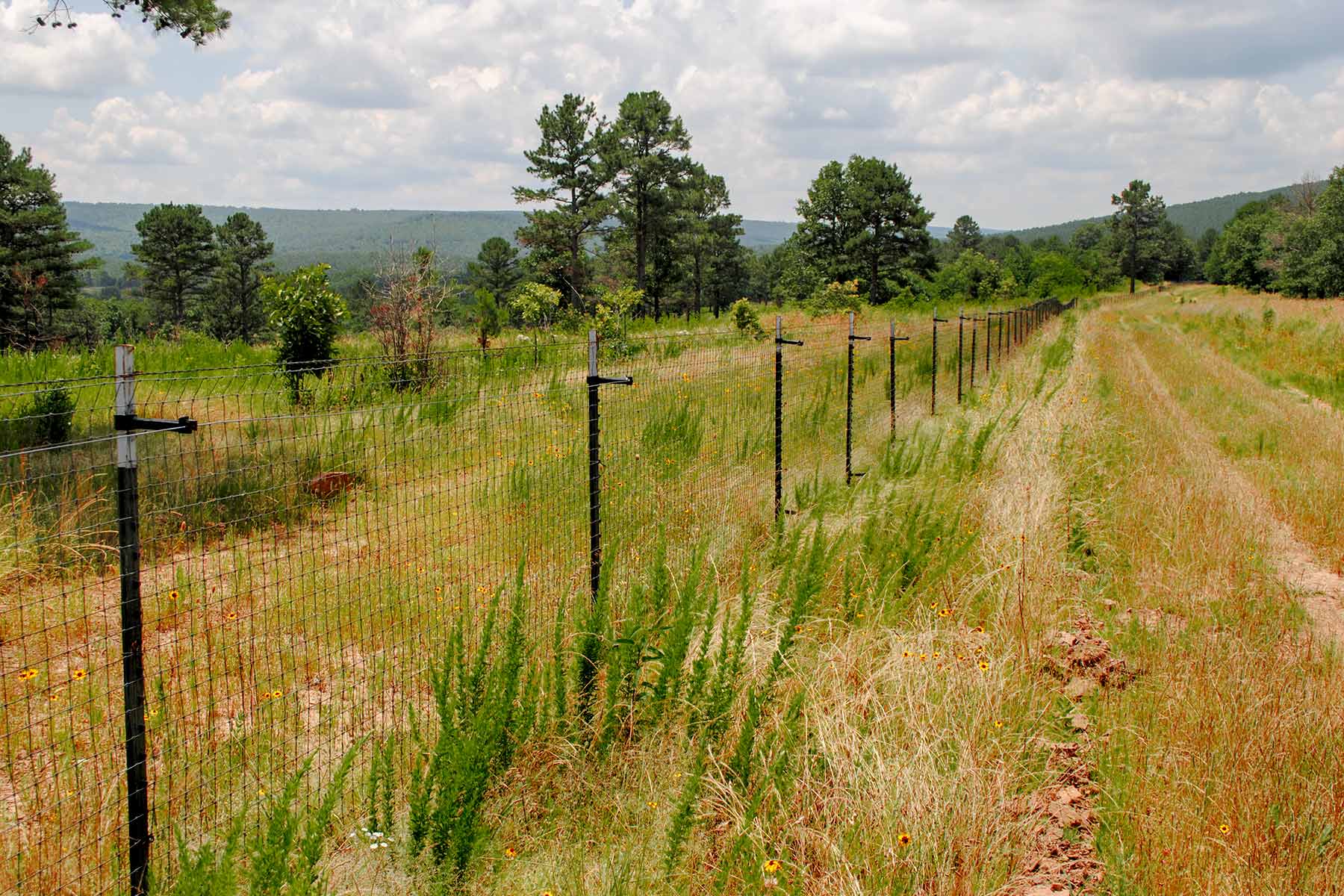 KiamichiLink Ranch property picture 80 of 89