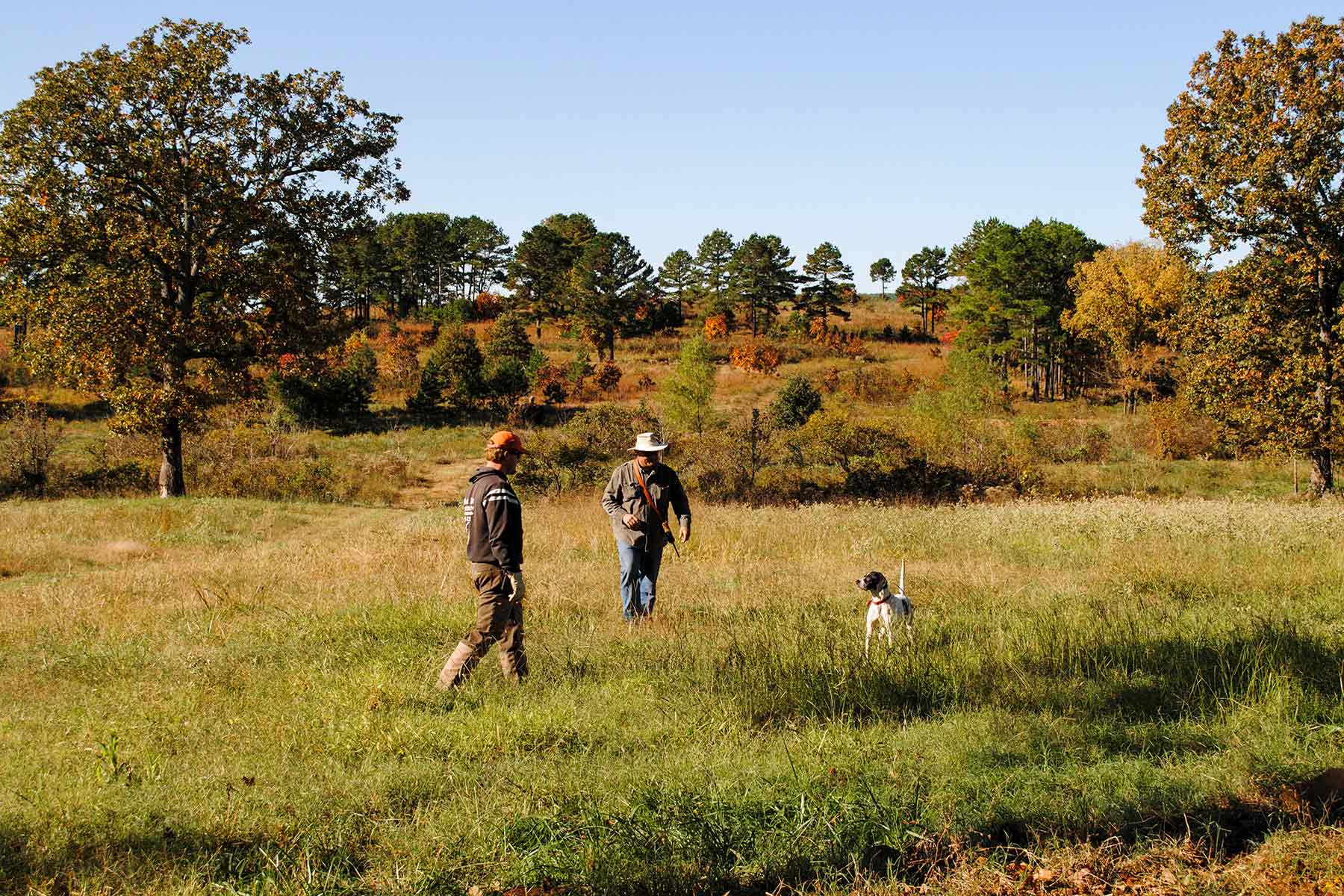 KiamichiLink Ranch property picture 52 of 89