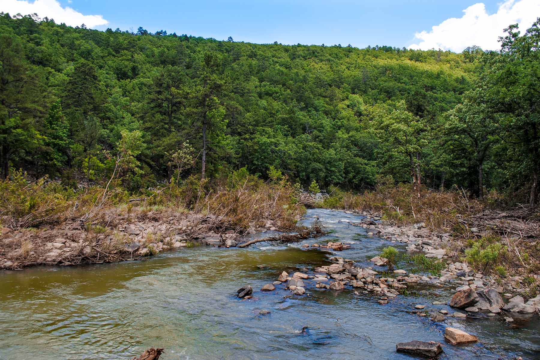 KiamichiLink Ranch property picture 57 of 89