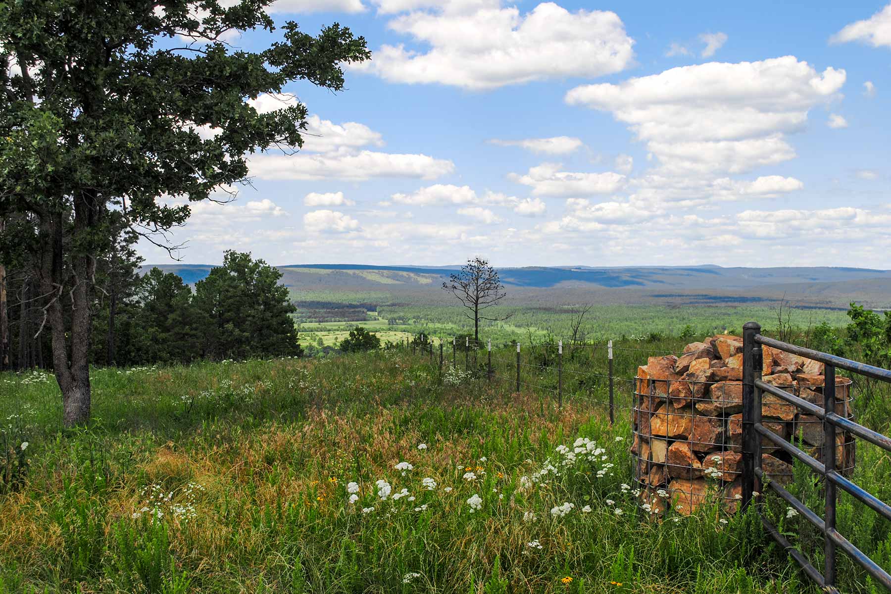 KiamichiLink Ranch property picture 5 of 89