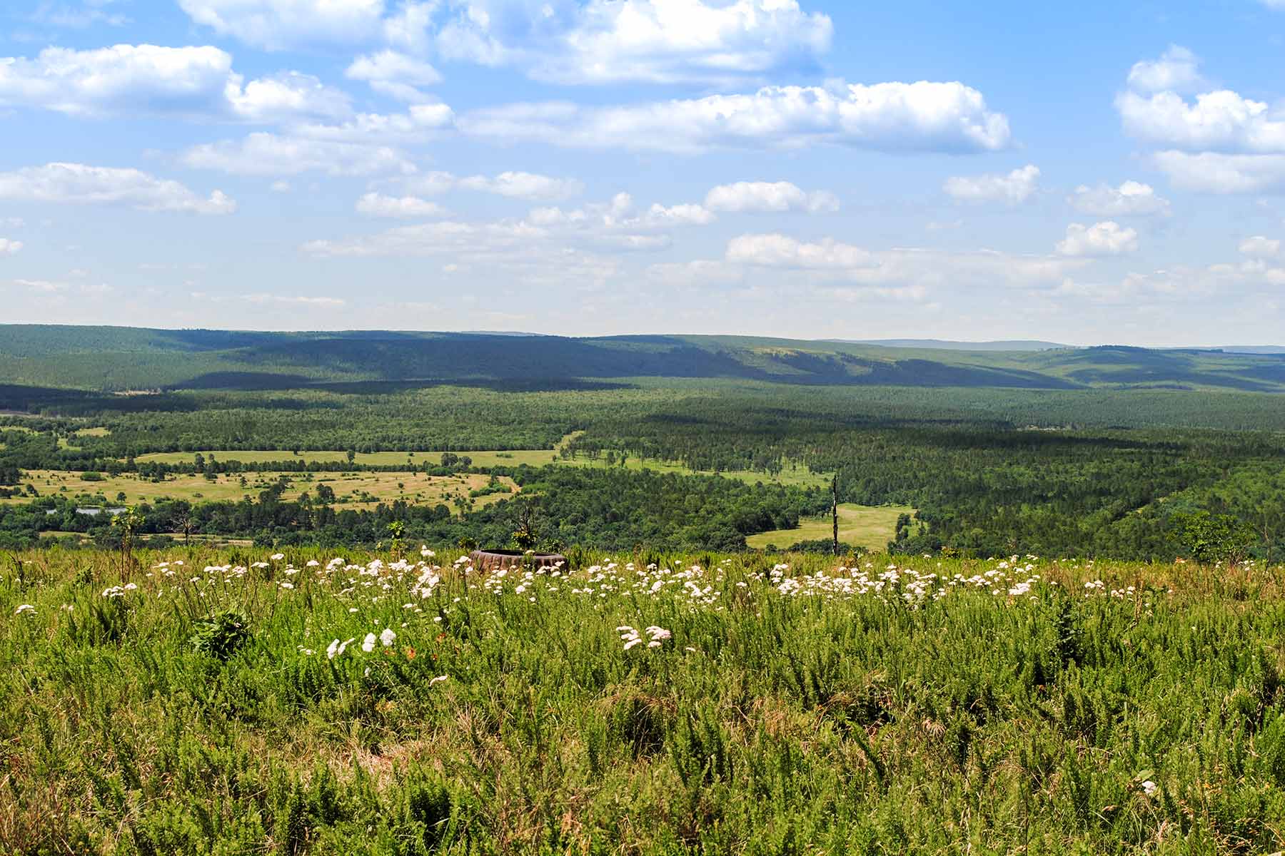 KiamichiLink Ranch property picture 87 of 89