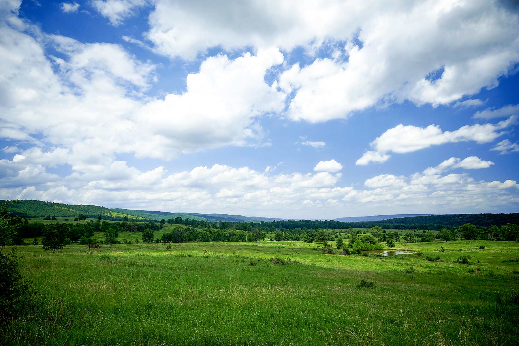 KiamichiLink Ranch property picture 84 of 89