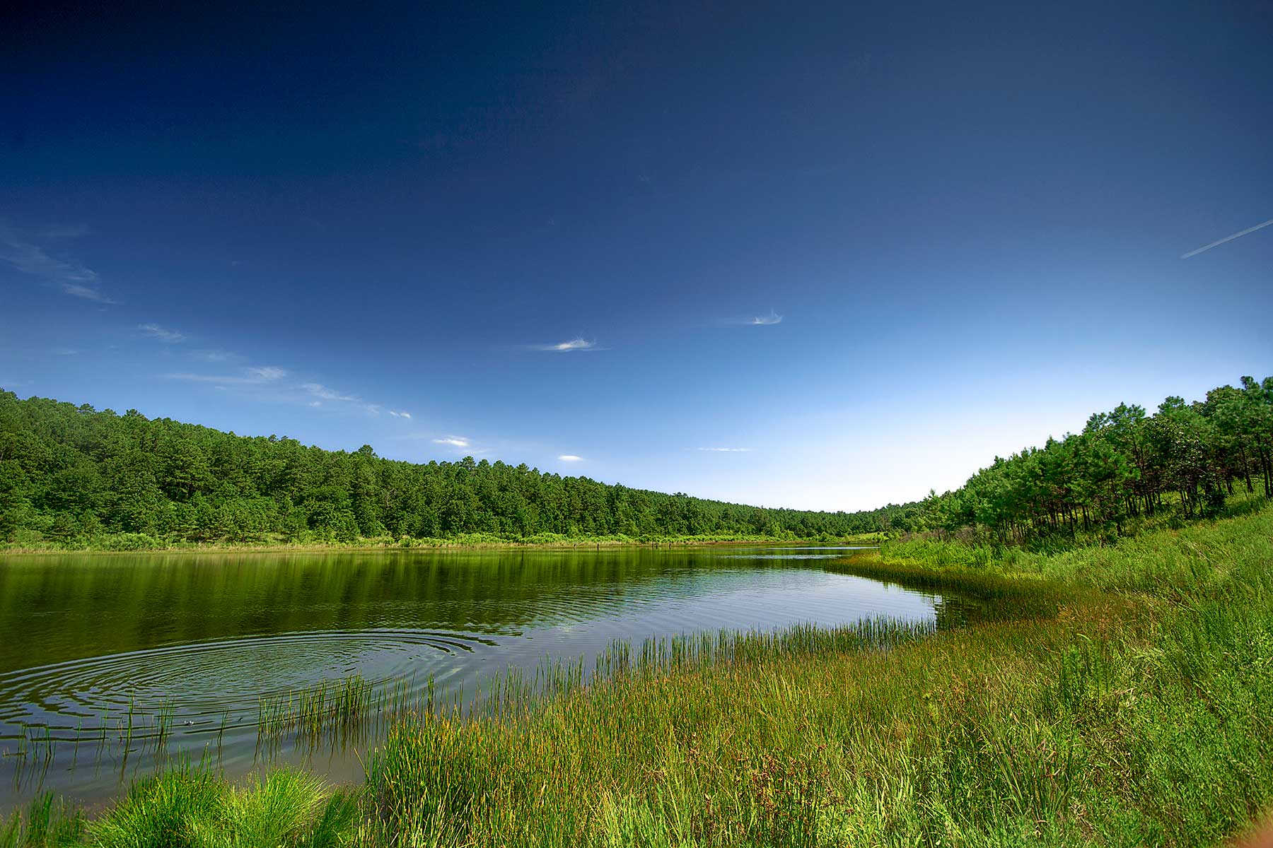 KiamichiLink Ranch property picture 19 of 89