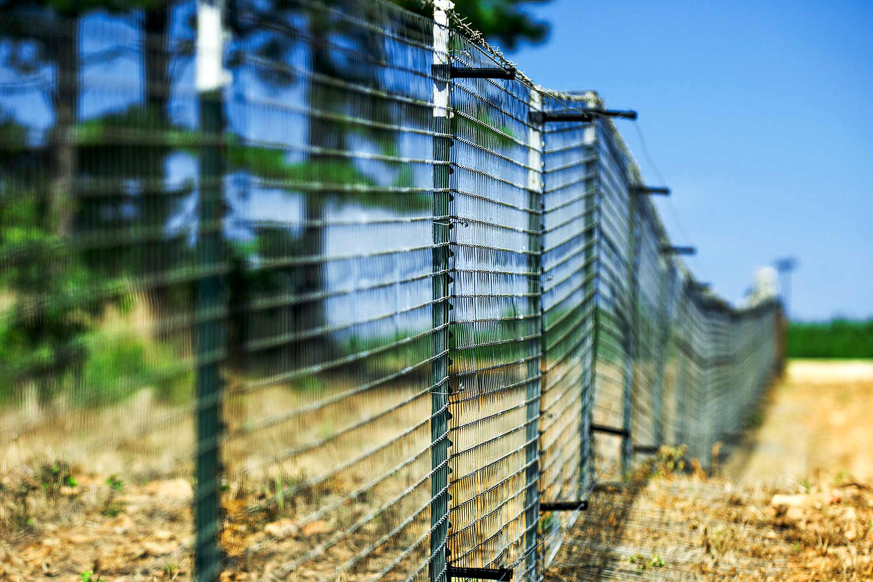 KiamichiLink Ranch property picture 64 of 89