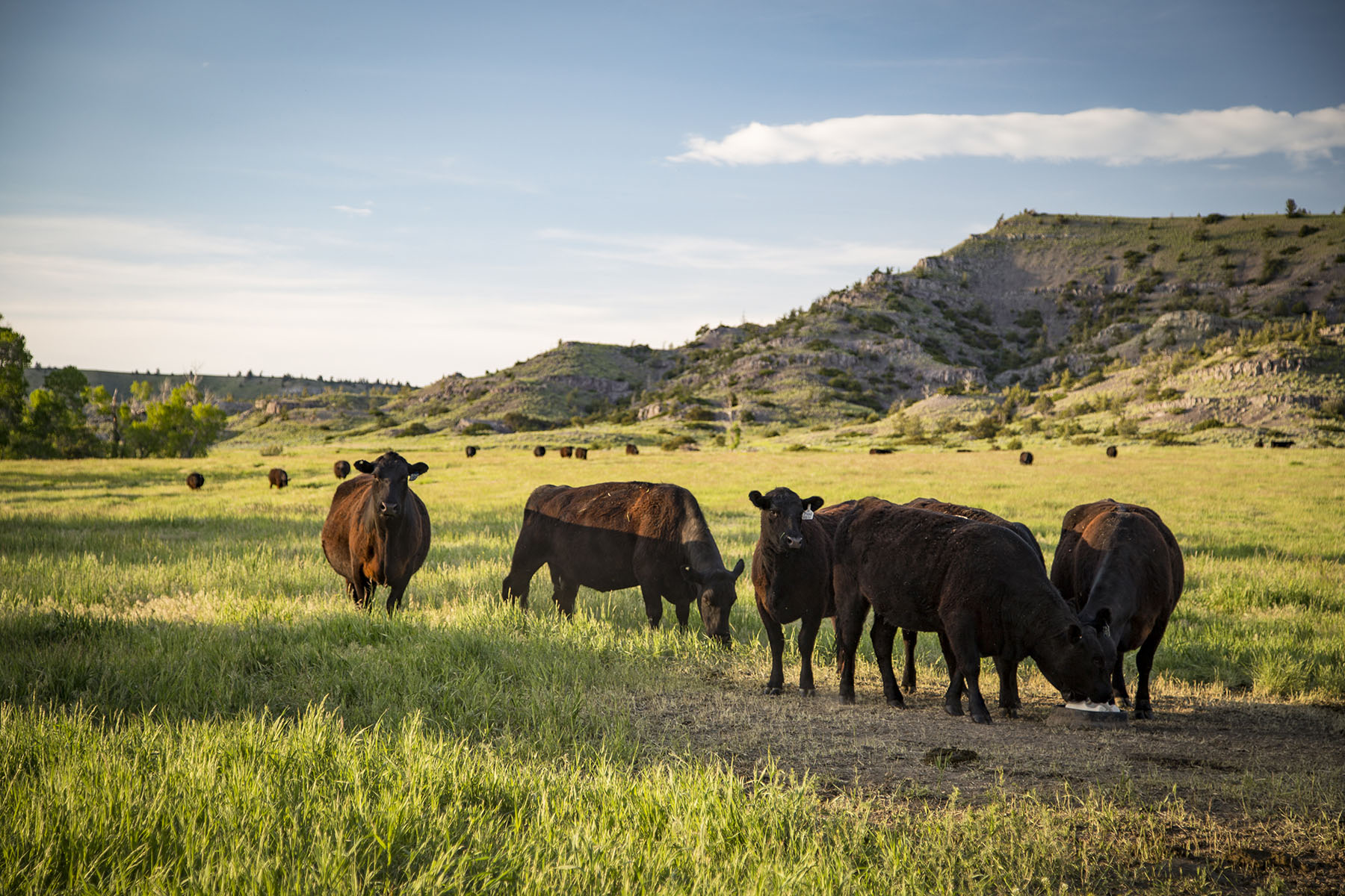 West Fork Ranch Sold Montana Hall and Hall