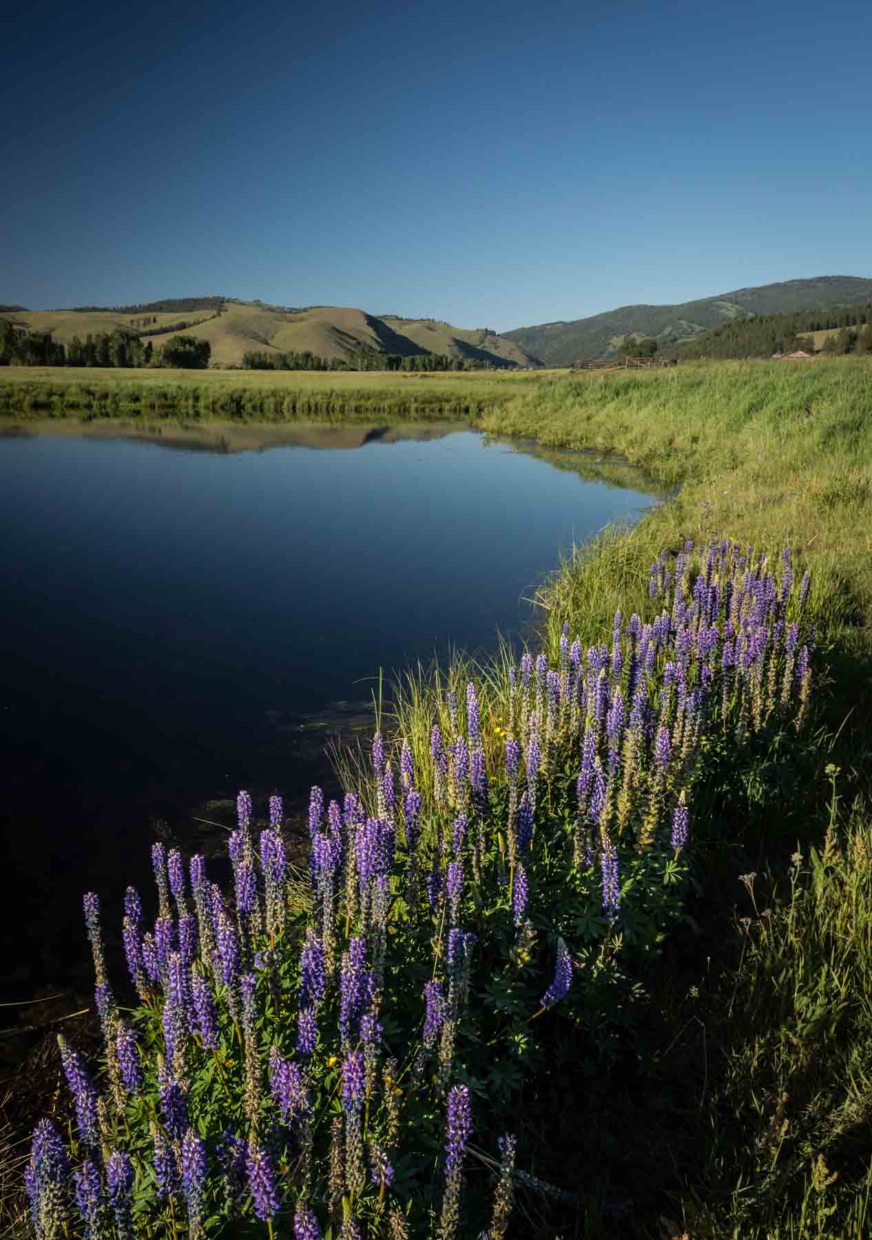Lone Cypress Ranch property picture 27 of 42