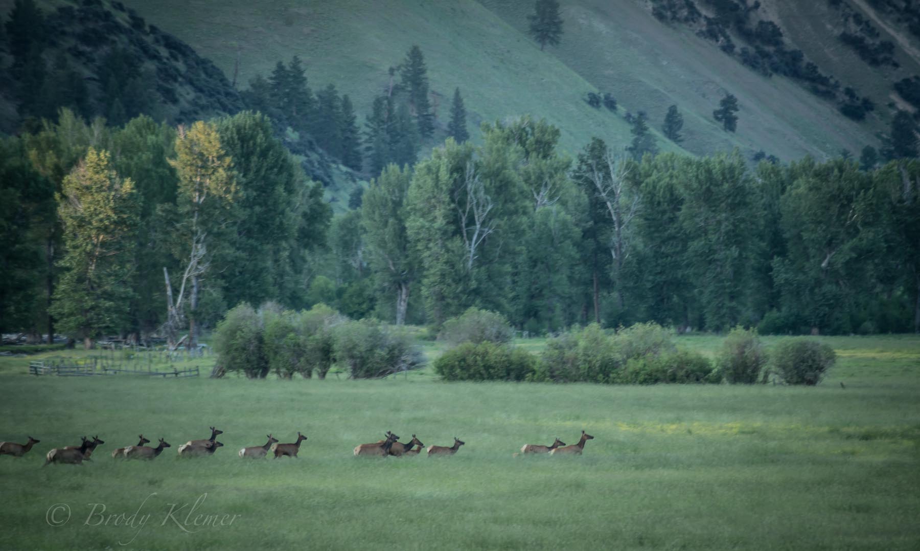 Lone Cypress Ranch property picture 28 of 42