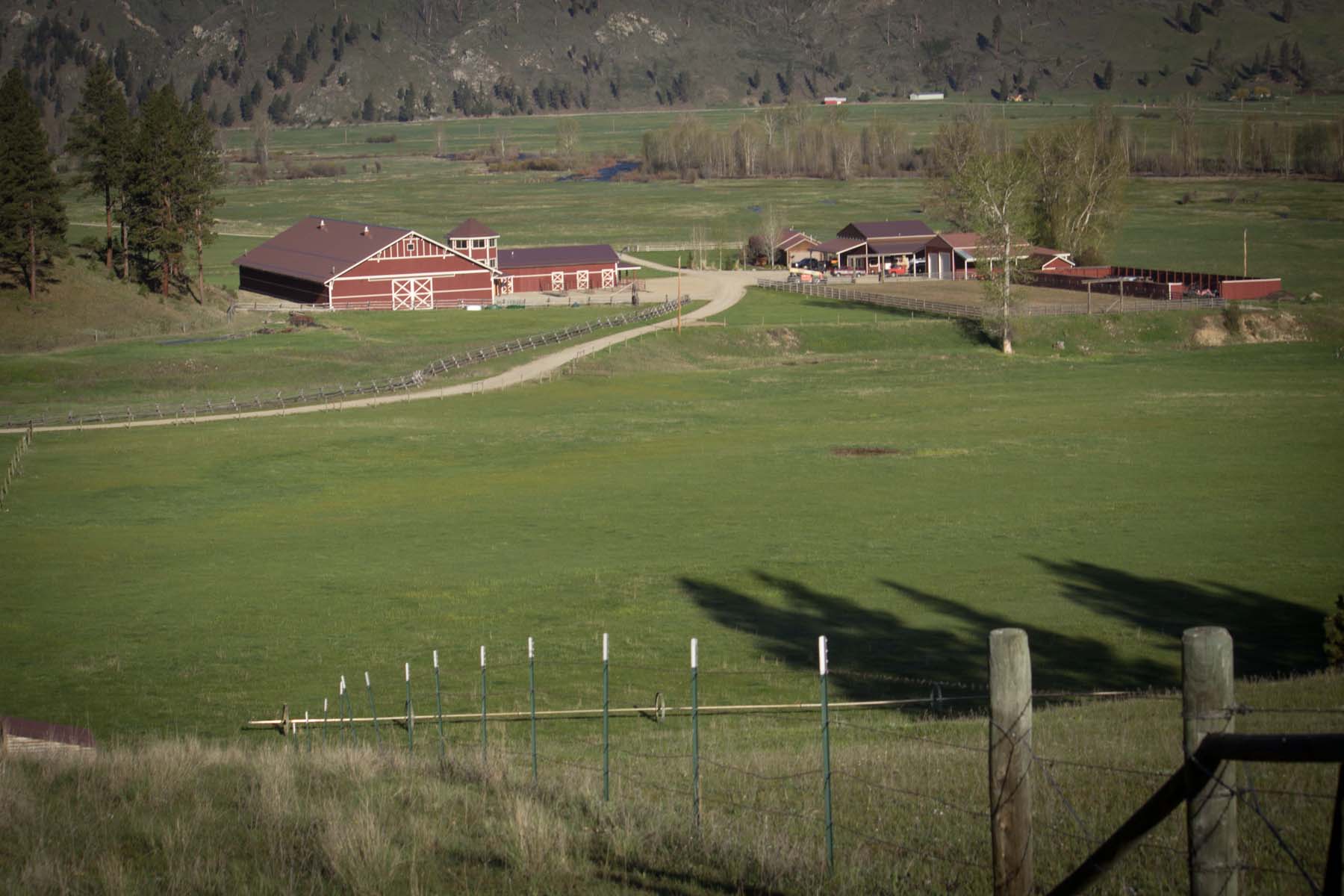 Lone Cypress Ranch property picture 38 of 42