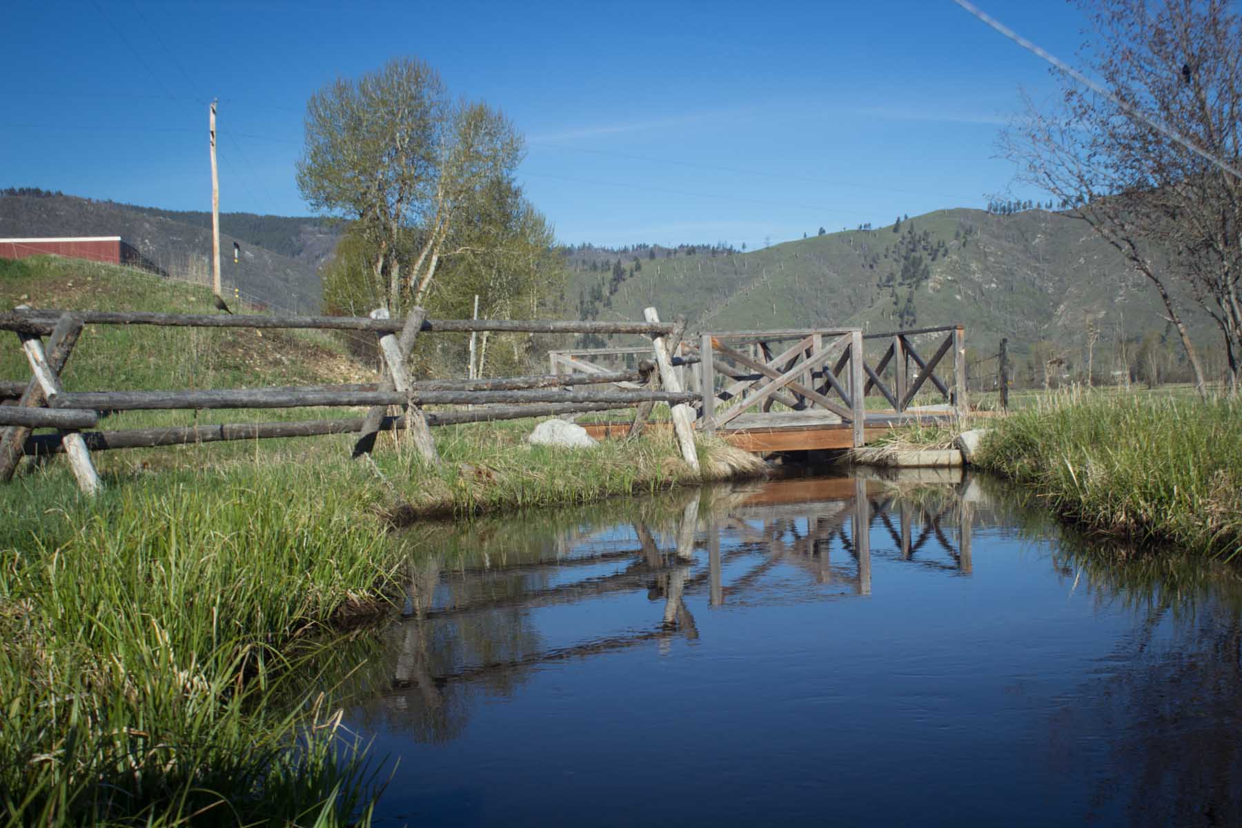 Lone Cypress Ranch property picture 40 of 42