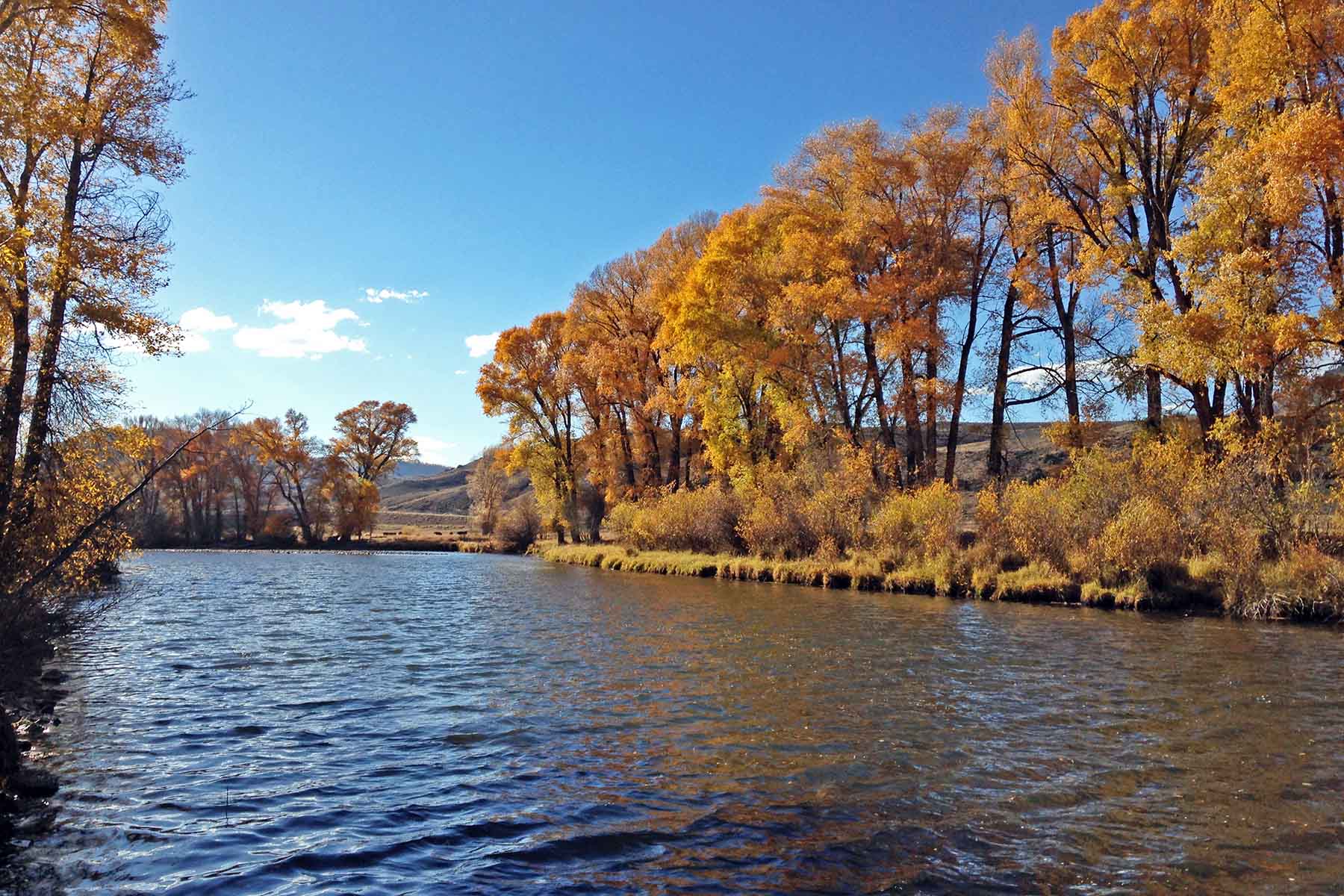 Marietta Creek Ranch property picture 26 of 59