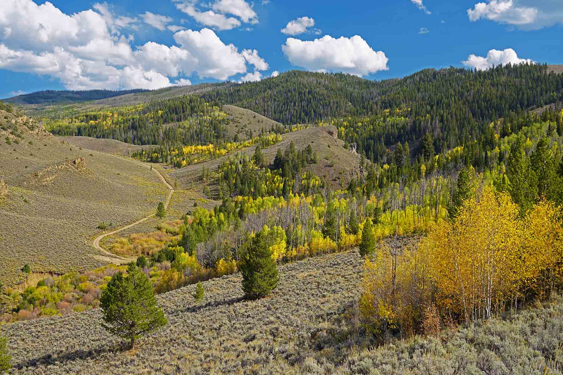 Marietta Creek Ranch property picture 19 of 59