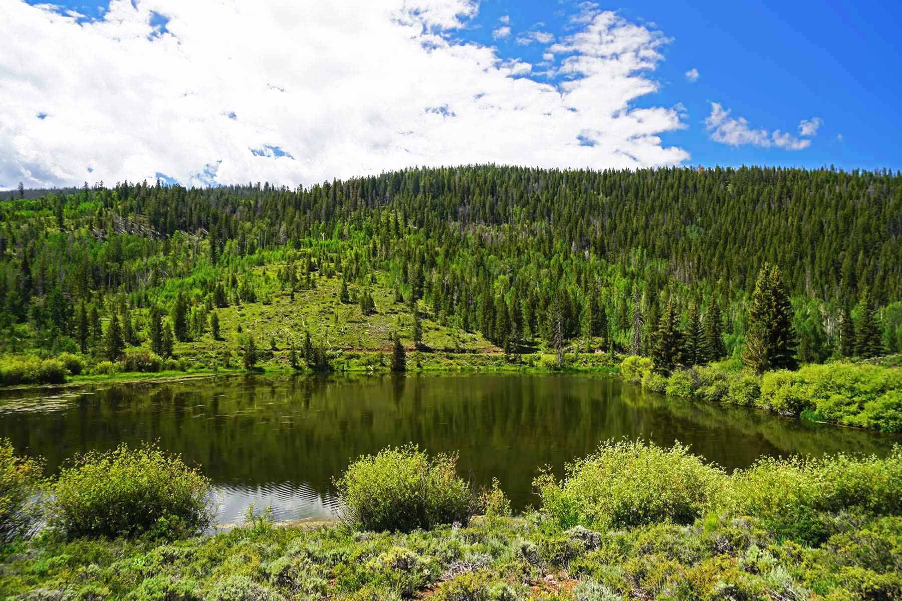 Marietta Creek Ranch property picture 43 of 59