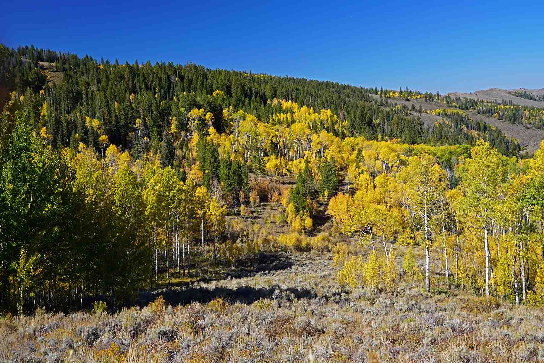 Marietta Creek Ranch property picture 20 of 59