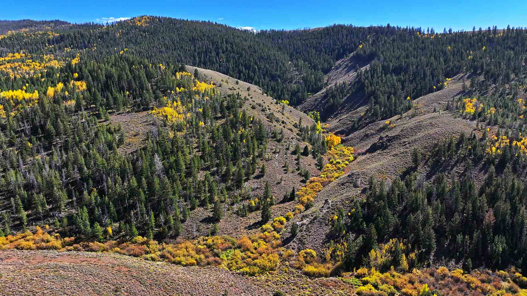 Marietta Creek Ranch property picture 27 of 59