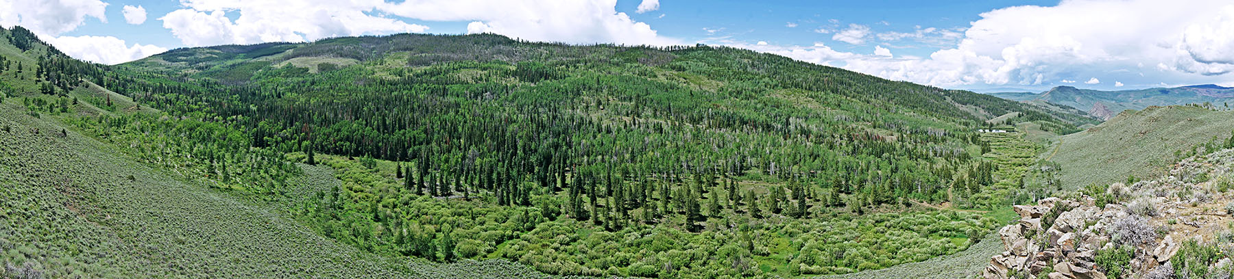 Marietta Creek Ranch property picture 38 of 59