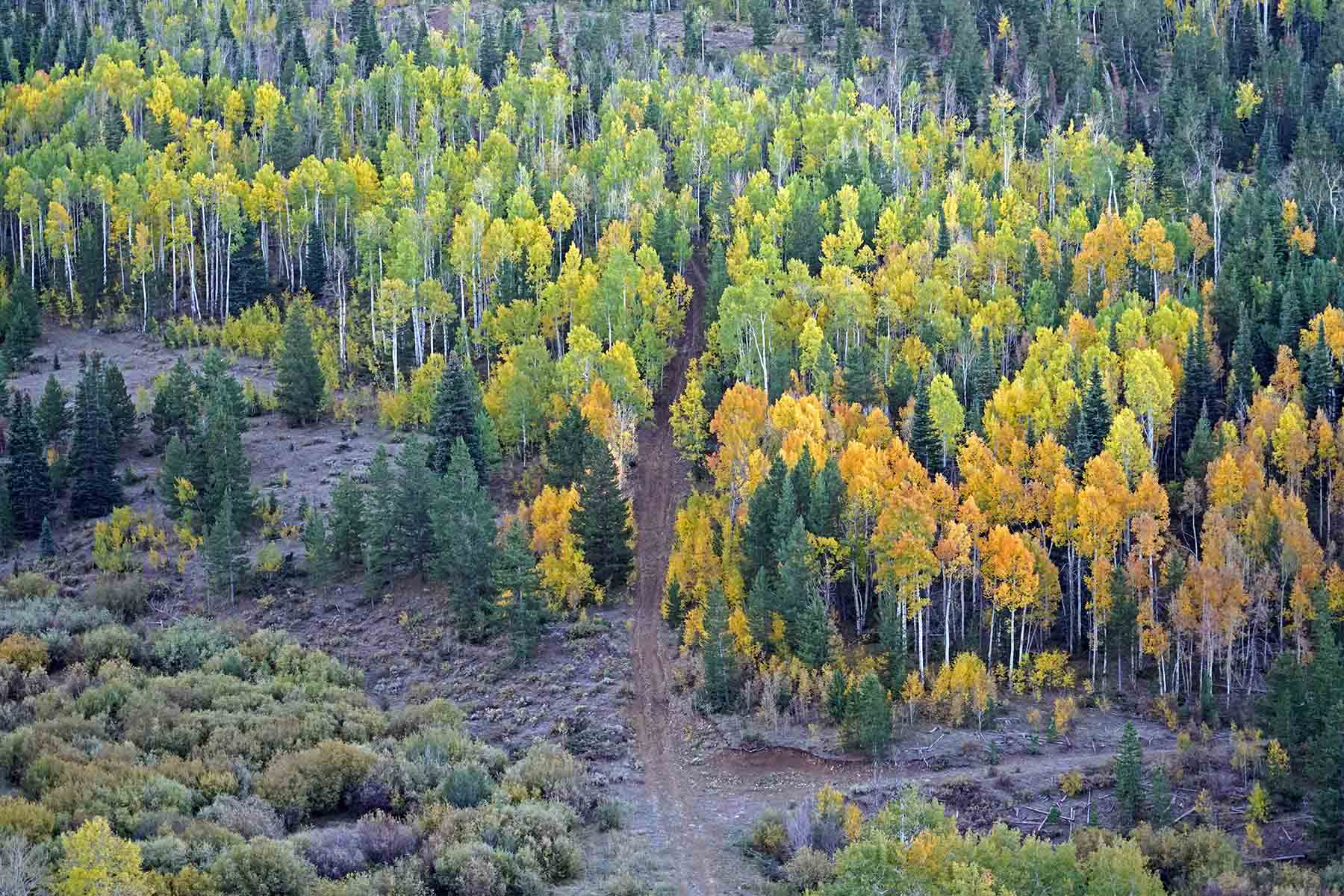 Marietta Creek Ranch property picture 13 of 59