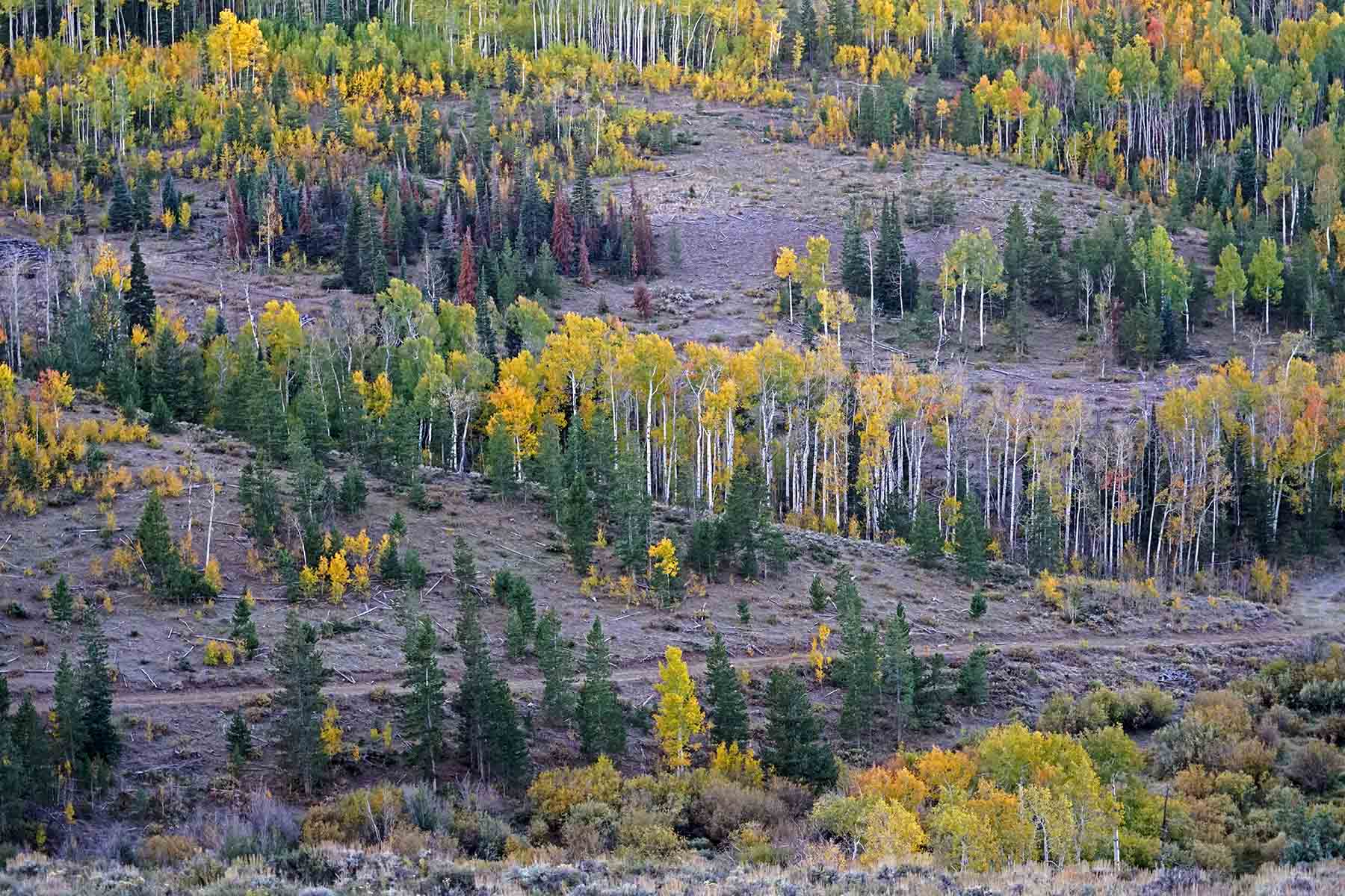 Marietta Creek Ranch property picture 18 of 59