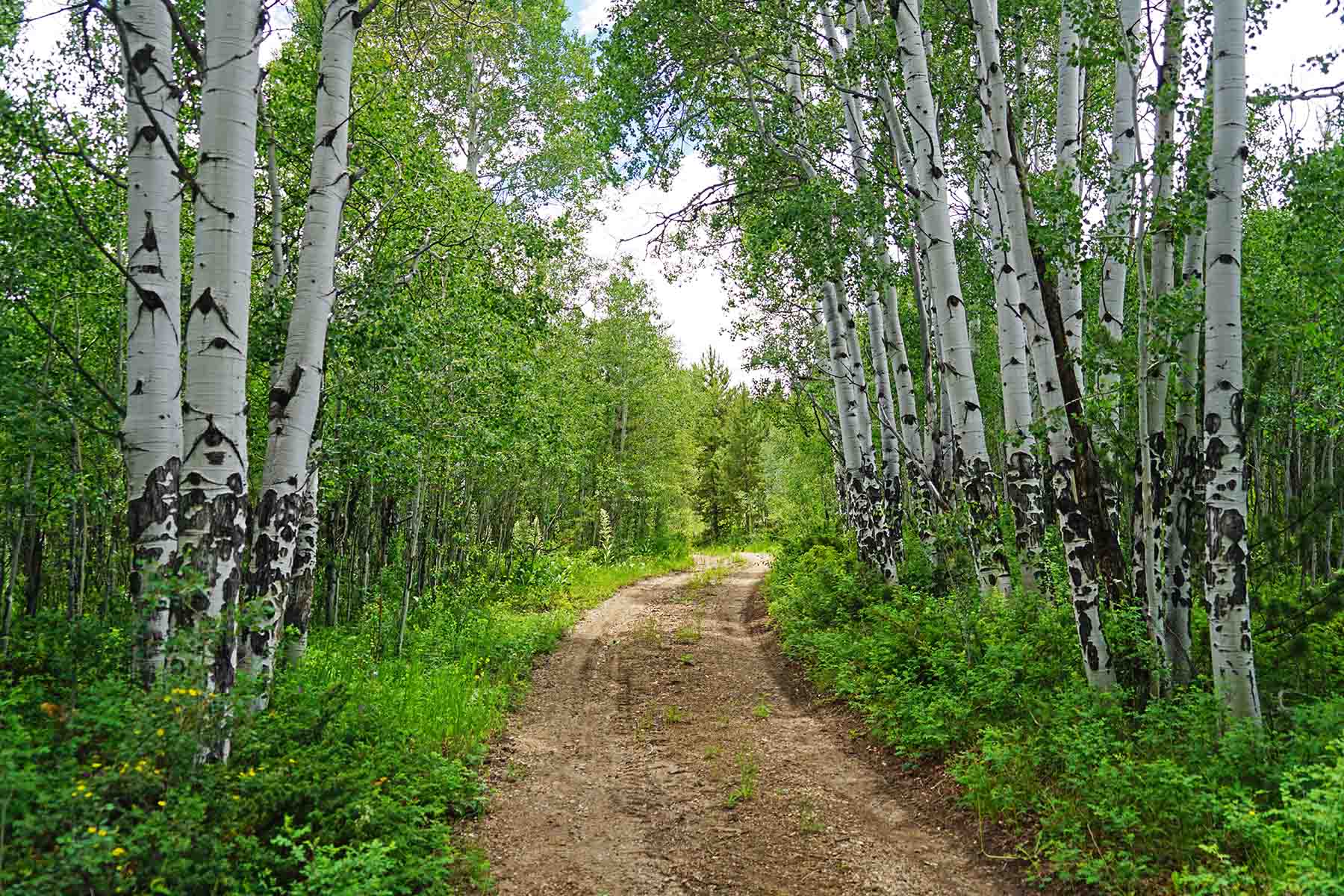 Marietta Creek Ranch property picture 39 of 59